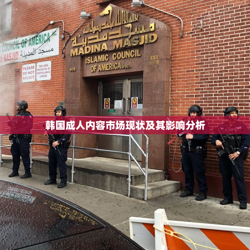 韩国成人内容市场现状及其影响分析