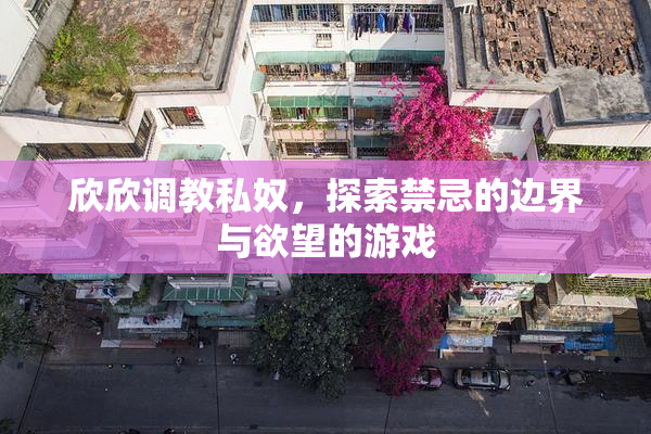 欣欣调教私奴，探索禁忌的边界与欲望的游戏