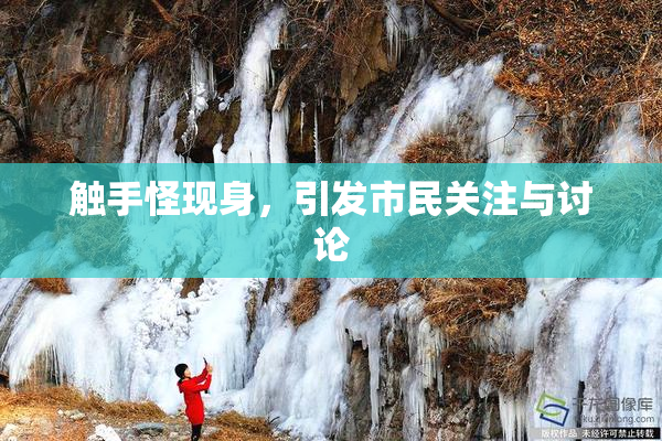 触手怪现身，引发市民关注与讨论