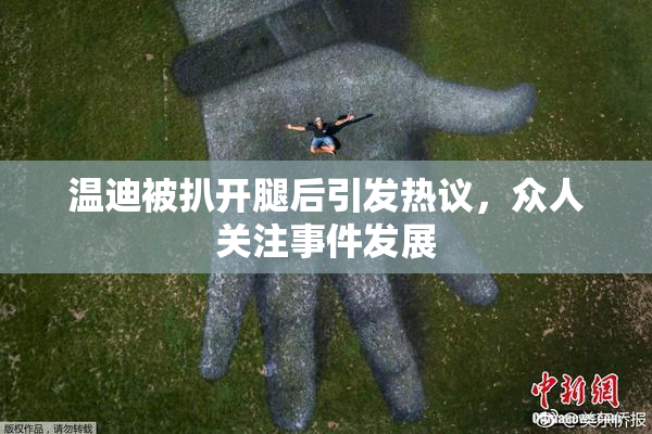 温迪被扒开腿后引发热议，众人关注事件发展