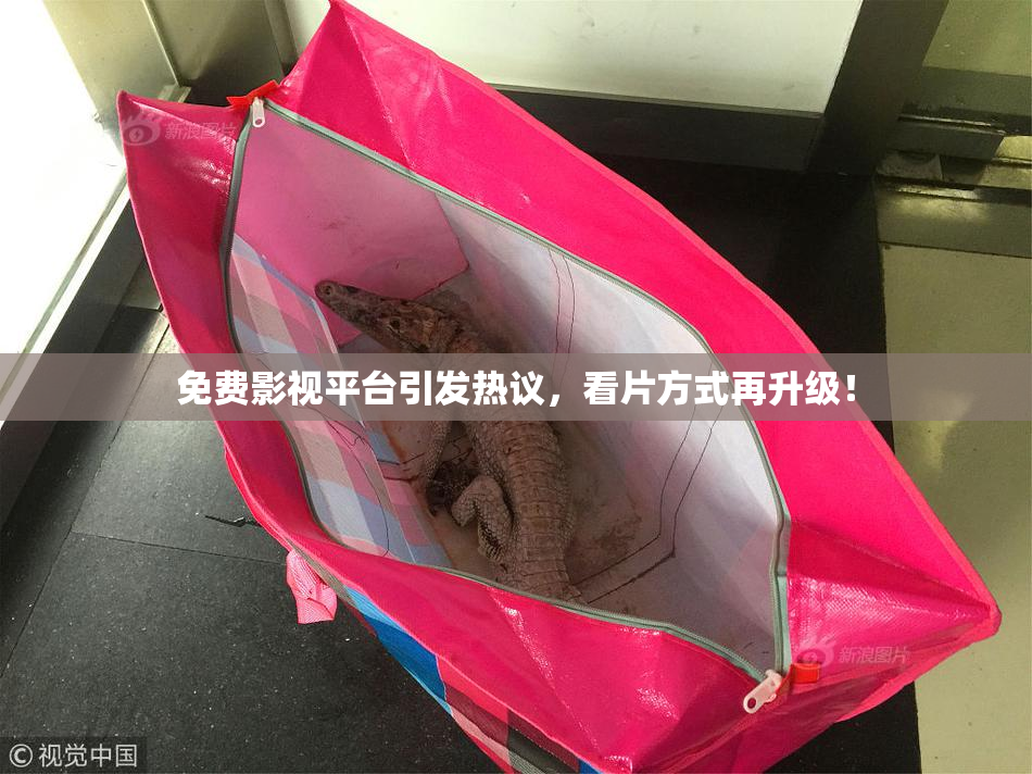 免费影视平台引发热议，看片方式再升级！