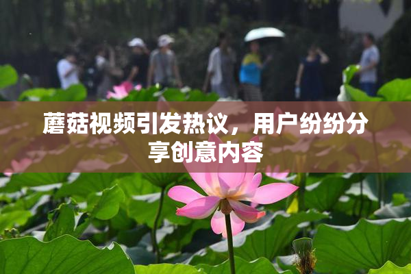 蘑菇视频引发热议，用户纷纷分享创意内容