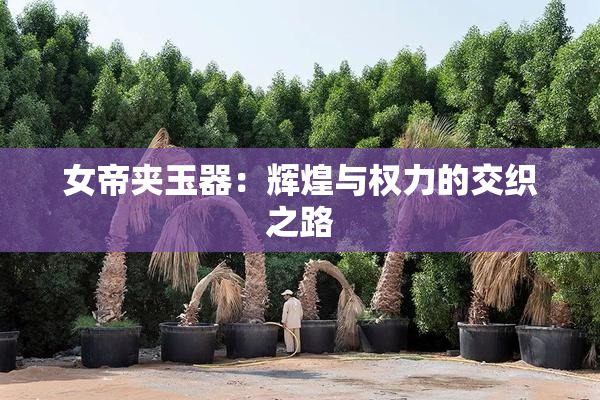 女帝夹玉器：辉煌与权力的交织之路