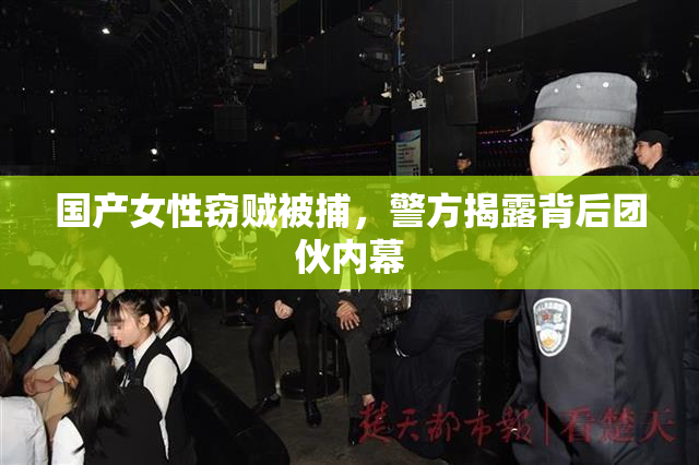 国产女性窃贼被捕，警方揭露背后团伙内幕