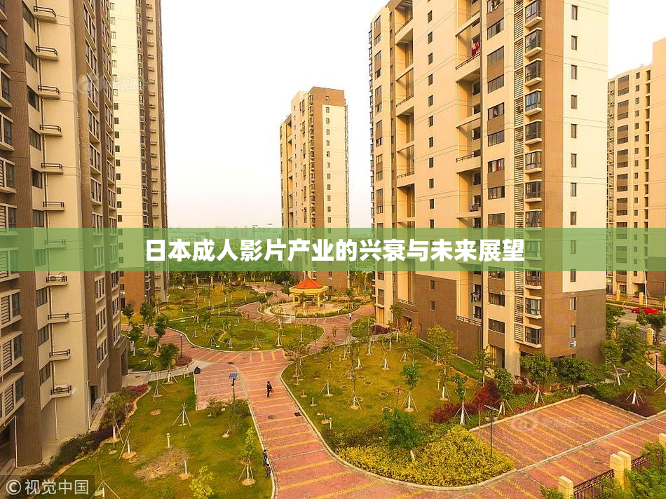 日本成人影片产业的兴衰与未来展望