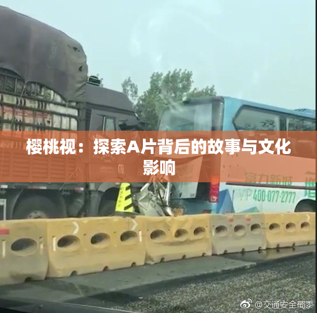 樱桃视：探索A片背后的故事与文化影响