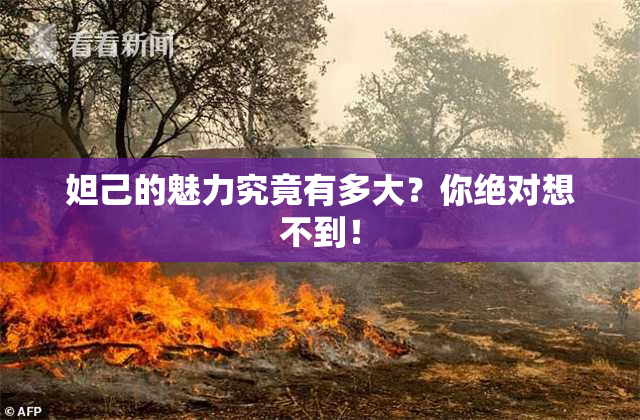 妲己的魅力究竟有多大？你绝对想不到！