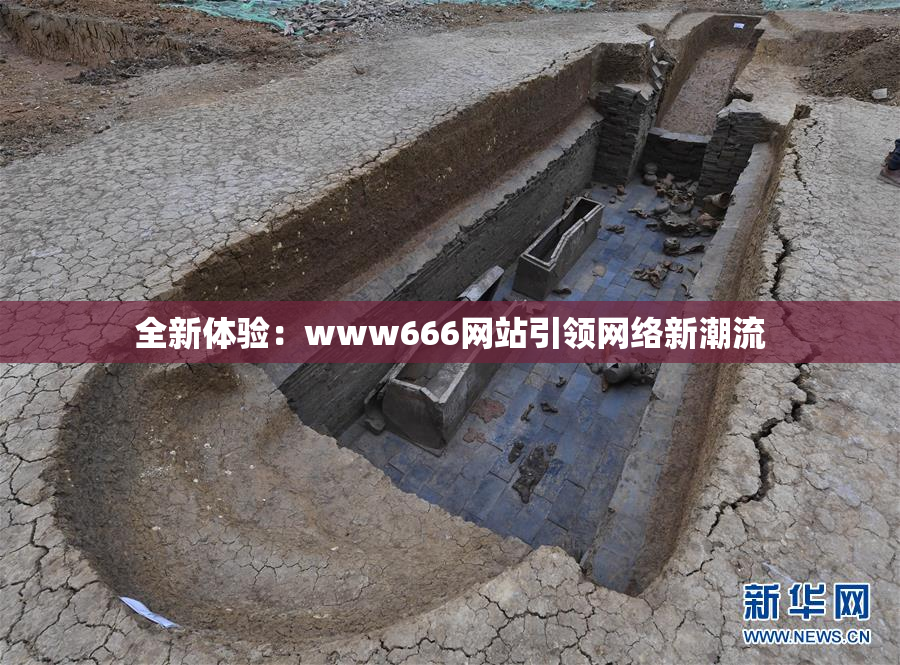 全新体验：www666网站引领网络新潮流