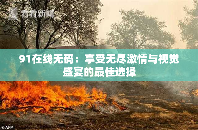 91在线无码：享受无尽激情与视觉盛宴的最佳选择