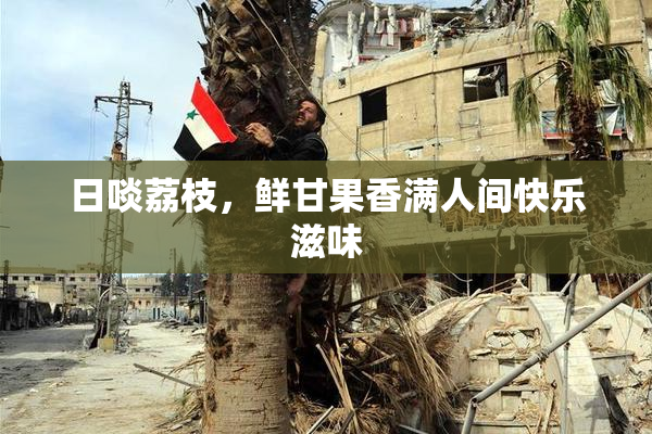 日啖荔枝，鲜甘果香满人间快乐滋味