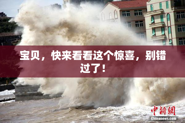 宝贝，快来看看这个惊喜，别错过了！