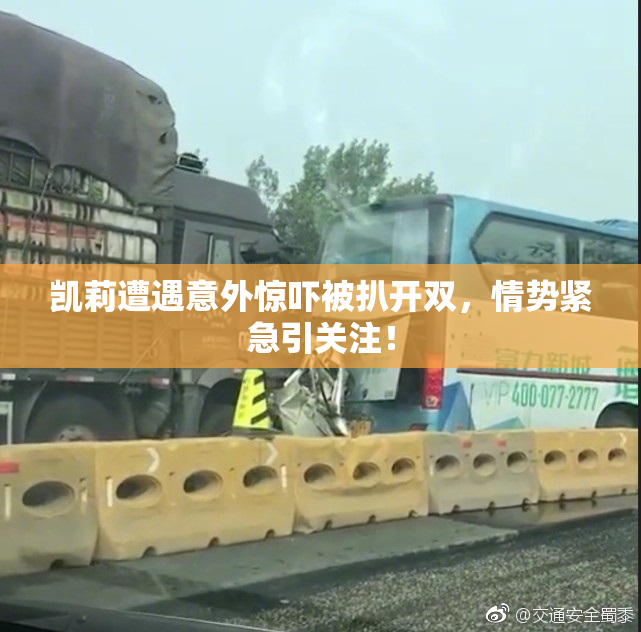 凯莉遭遇意外惊吓被扒开双，情势紧急引关注！