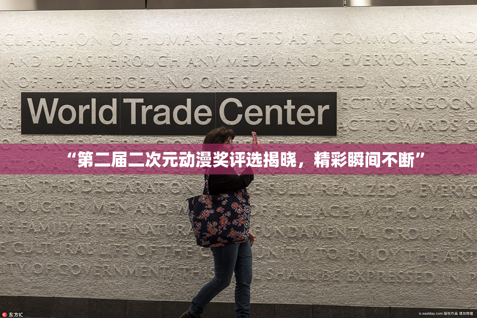 “第二届二次元动漫奖评选揭晓，精彩瞬间不断”