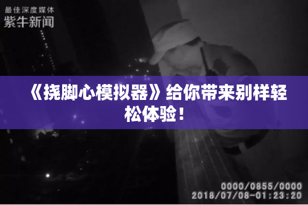 《挠脚心模拟器》给你带来别样轻松体验！