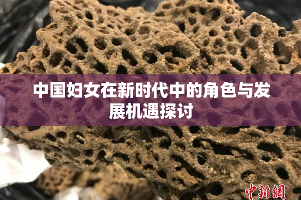 中国妇女在新时代中的角色与发展机遇探讨