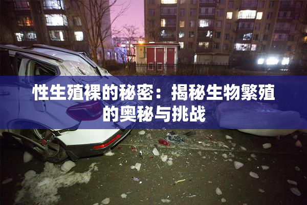 性生殖裸的秘密：揭秘生物繁殖的奥秘与挑战