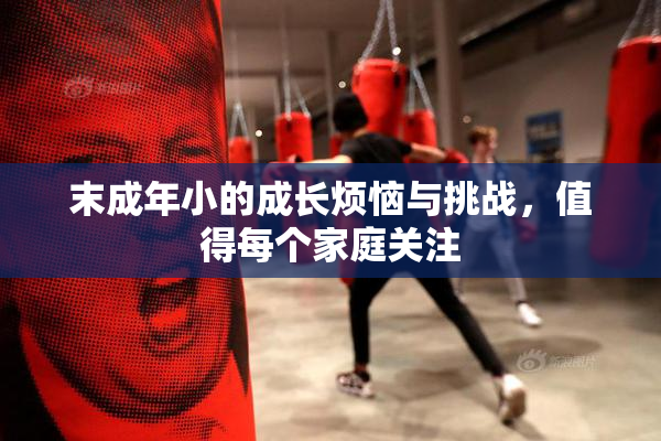 末成年小的成长烦恼与挑战，值得每个家庭关注
