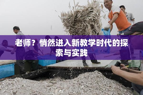 老师？悄然进入新教学时代的探索与实践