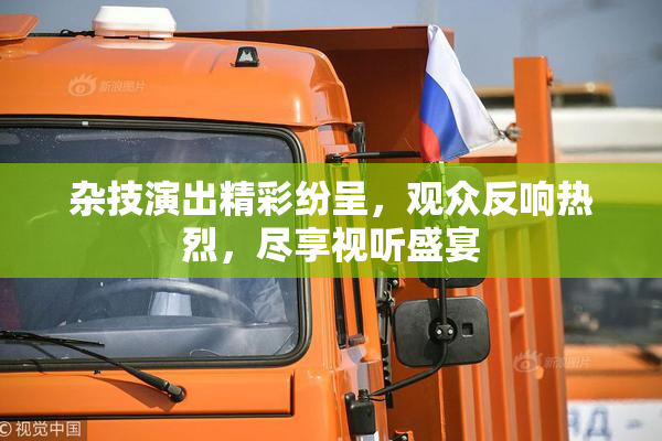 杂技演出精彩纷呈，观众反响热烈，尽享视听盛宴