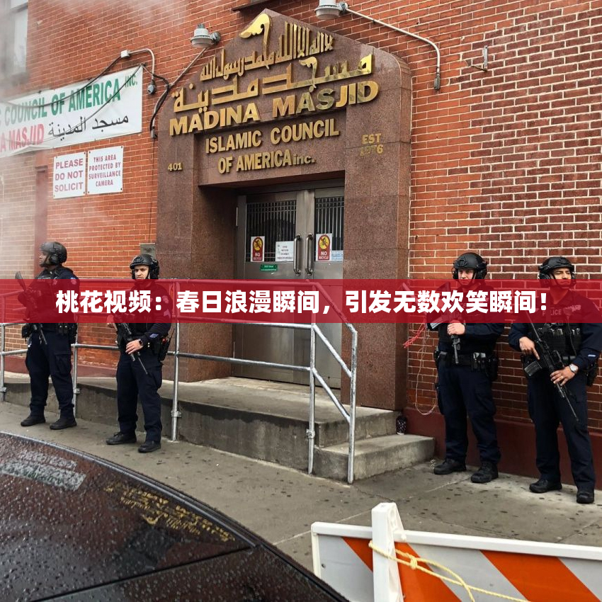 桃花视频：春日浪漫瞬间，引发无数欢笑瞬间！