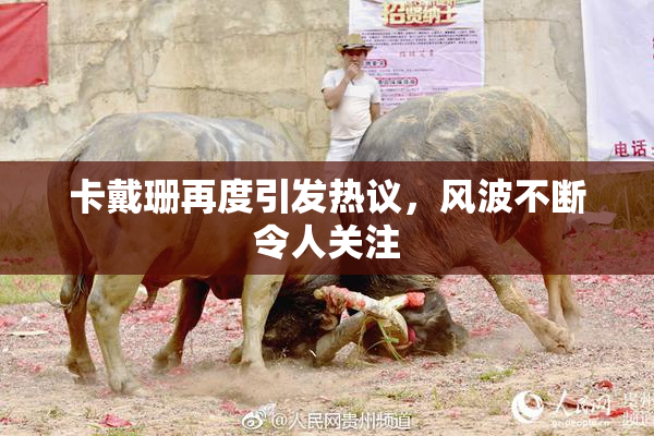 卡戴珊再度引发热议，风波不断令人关注