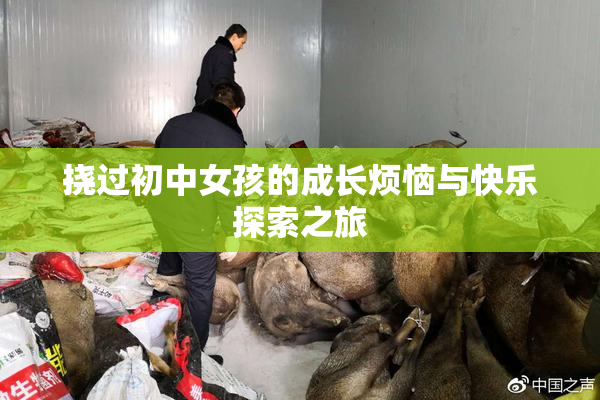 挠过初中女孩的成长烦恼与快乐探索之旅