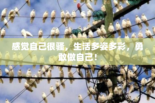 感觉自己很骚，生活多姿多彩，勇敢做自己！