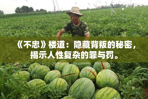 《不忠》楼道：隐藏背叛的秘密，揭示人性复杂的罪与罚。