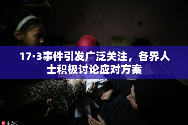 17·3事件引发广泛关注，各界人士积极讨论应对方案