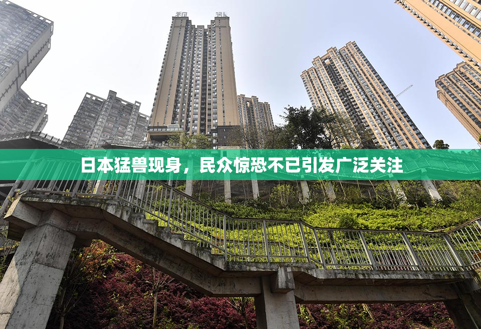 日本猛兽现身，民众惊恐不已引发广泛关注