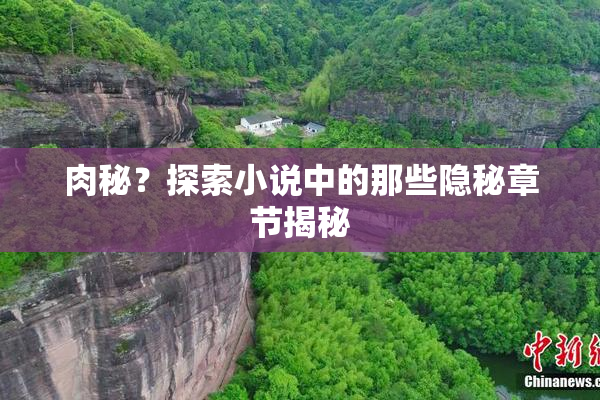 肉秘？探索小说中的那些隐秘章节揭秘