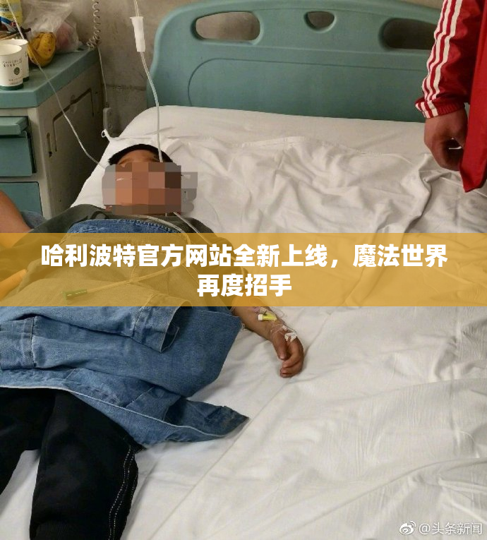 哈利波特官方网站全新上线，魔法世界再度招手