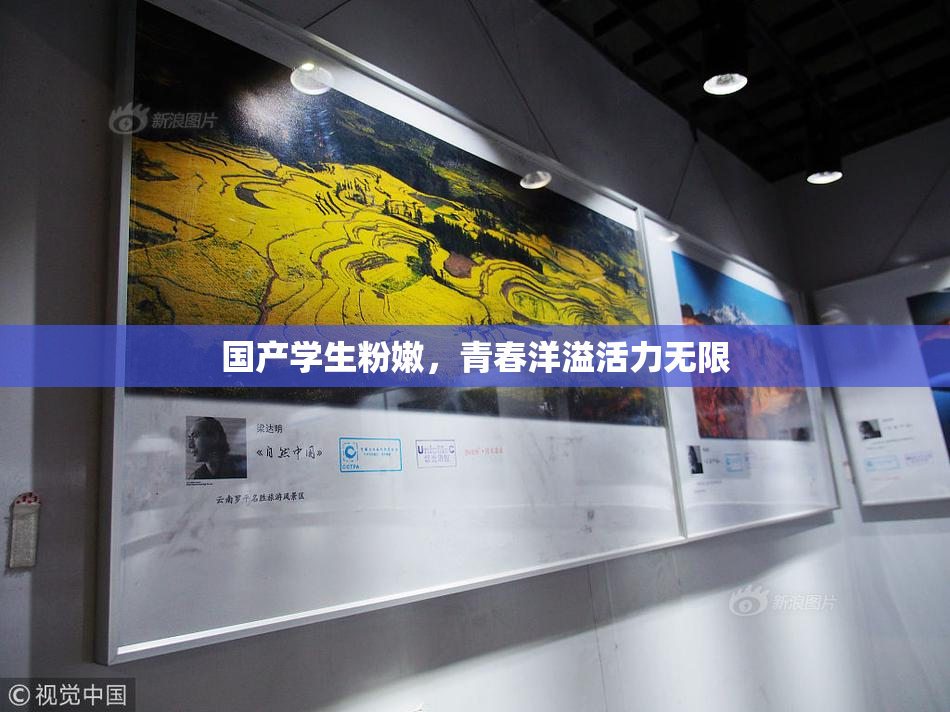 国产学生粉嫩，青春洋溢活力无限