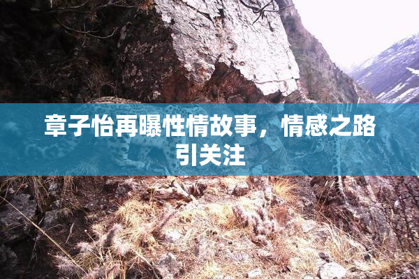 章子怡再曝性情故事，情感之路引关注