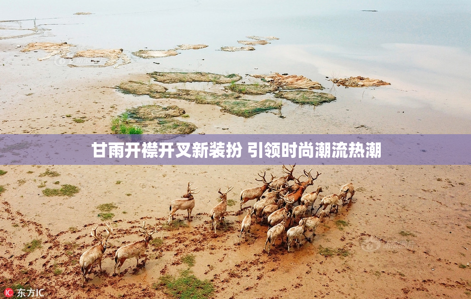 甘雨开襟开叉新装扮 引领时尚潮流热潮