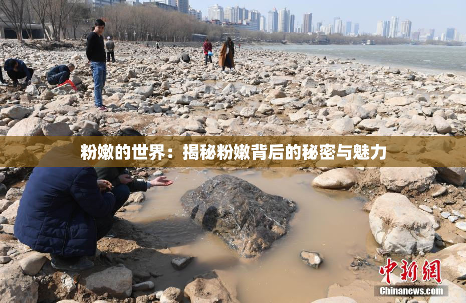 粉嫩的世界：揭秘粉嫩背后的秘密与魅力