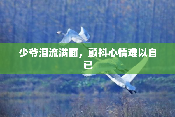 少爷泪流满面，颤抖心情难以自已