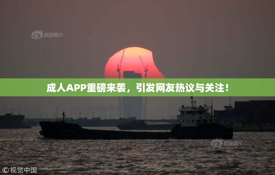 成人APP重磅来袭，引发网友热议与关注！