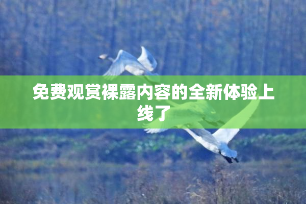 免费观赏裸露内容的全新体验上线了
