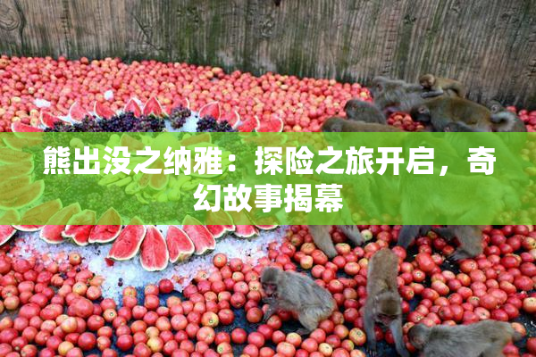熊出没之纳雅：探险之旅开启，奇幻故事揭幕