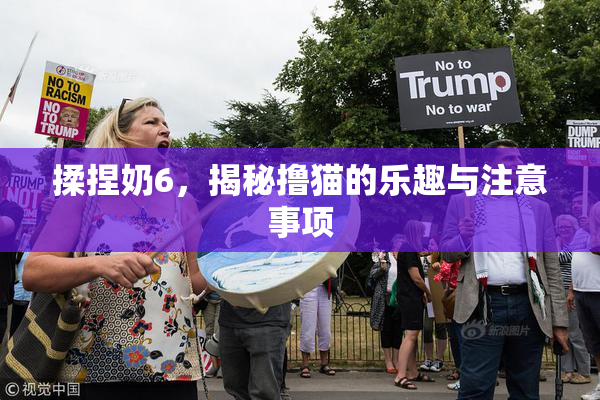 揉捏奶6，揭秘撸猫的乐趣与注意事项