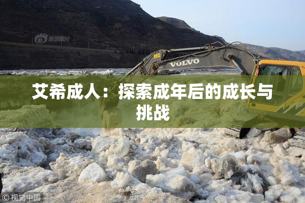 艾希成人：探索成年后的成长与挑战