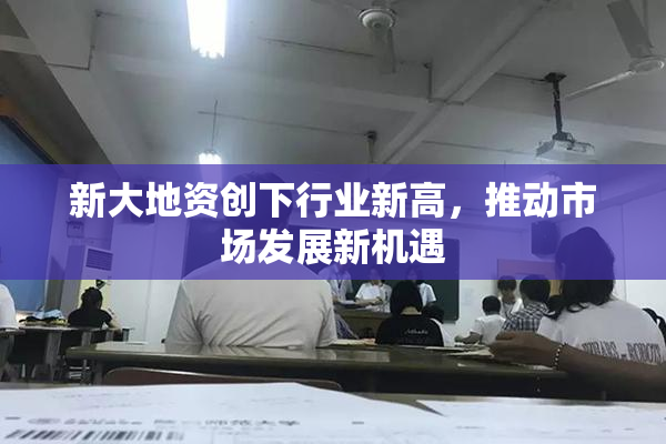新大地资创下行业新高，推动市场发展新机遇