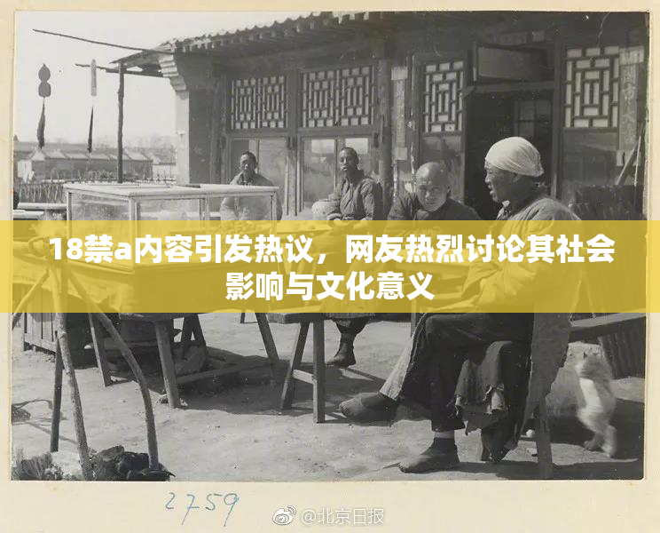 18禁a内容引发热议，网友热烈讨论其社会影响与文化意义