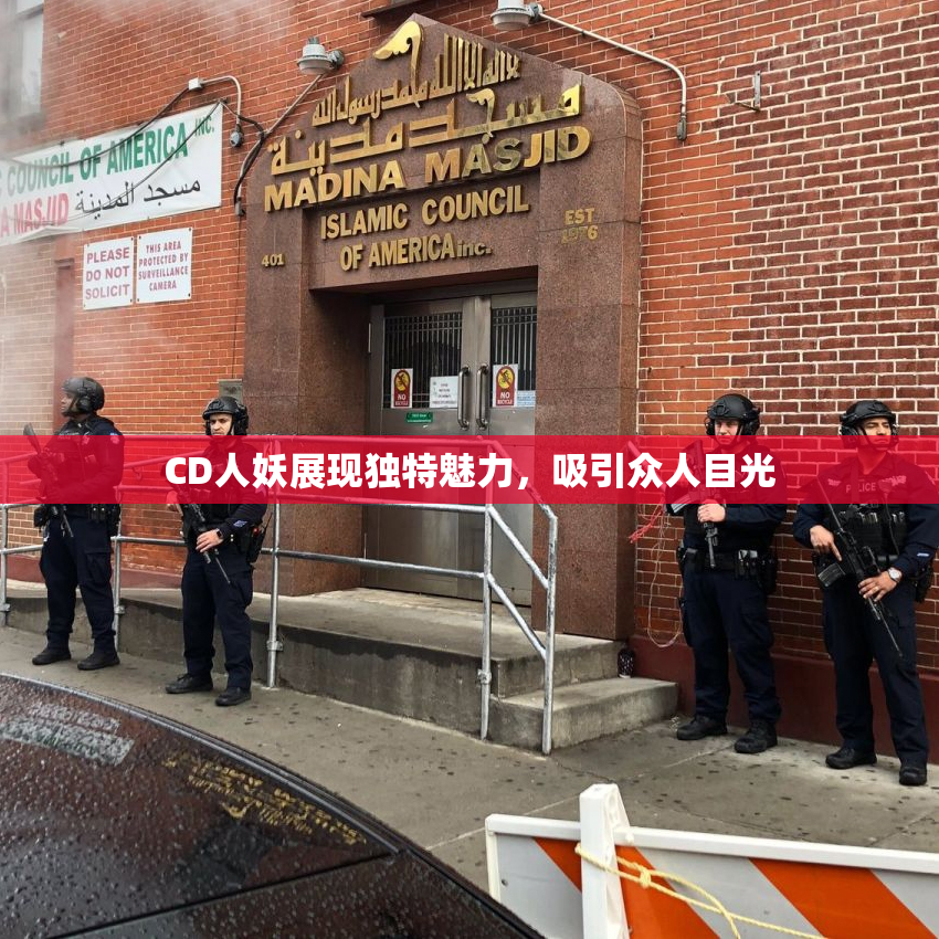 CD人妖展现独特魅力，吸引众人目光