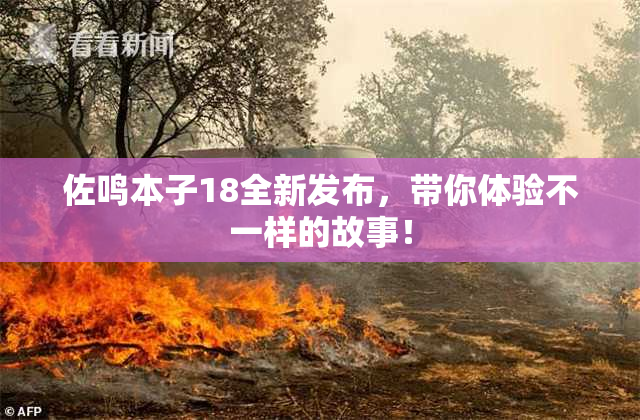 佐鸣本子18全新发布，带你体验不一样的故事！