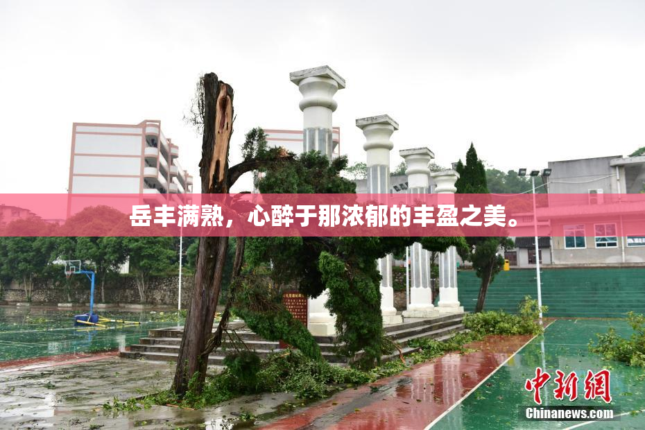 岳丰满熟，心醉于那浓郁的丰盈之美。