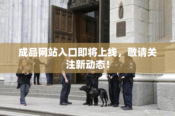 成品网站入口即将上线，敬请关注新动态！