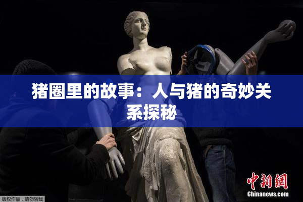 猪圈里的故事：人与猪的奇妙关系探秘