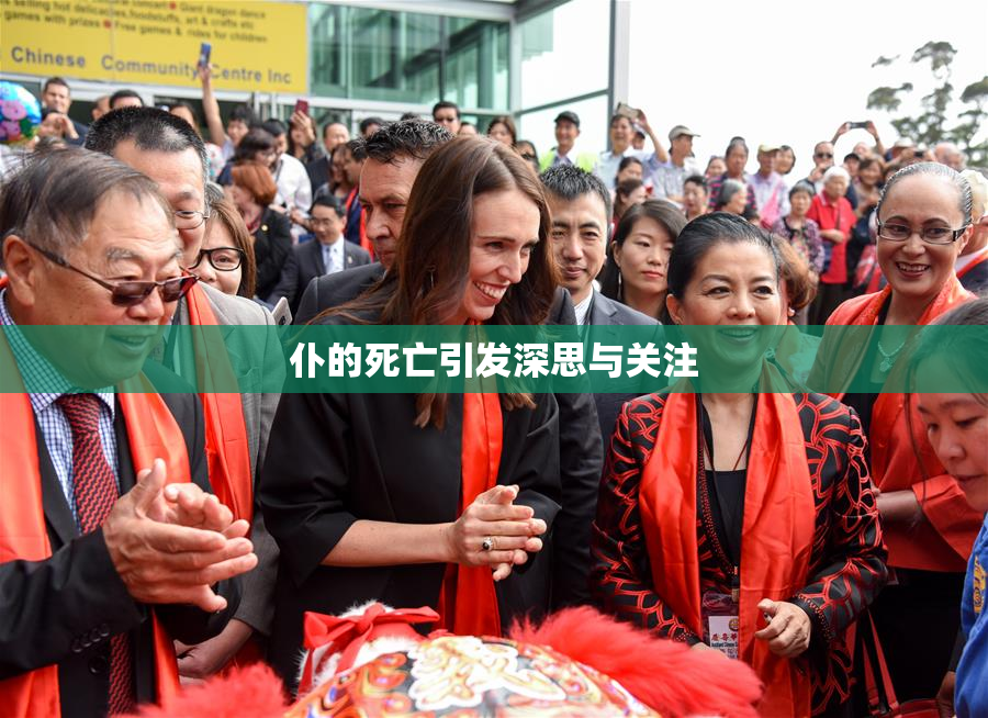 仆的死亡引发深思与关注